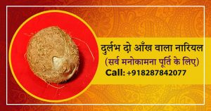 Two Eye Coconut in Hindi